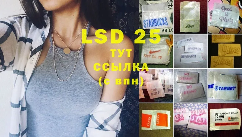 ЛСД экстази ecstasy  сайты даркнета клад  Андреаполь  цены наркотик  blacksprut как зайти 